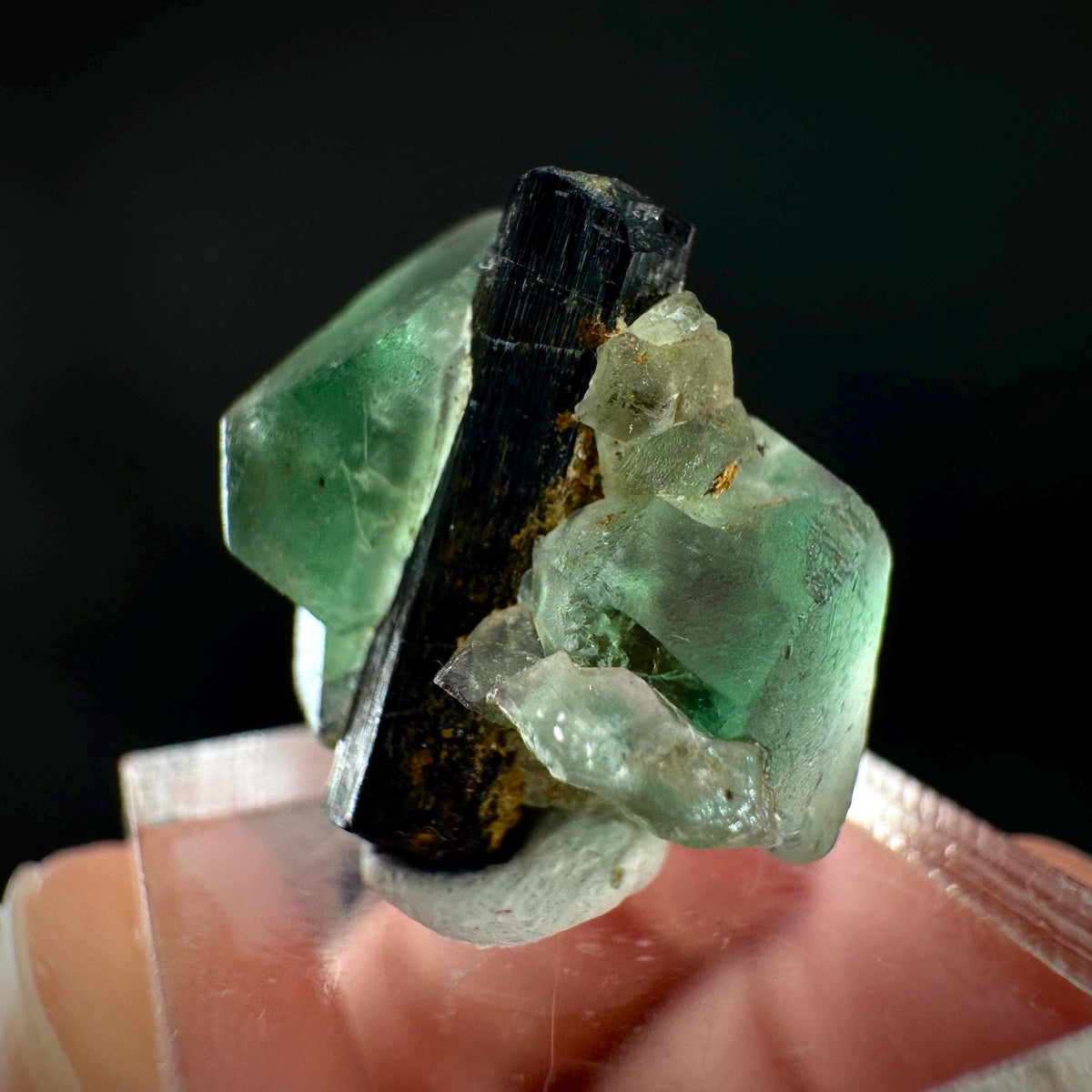 Fluorite w/ Black Tourmaline | Lollipop Pocket, green crystal, mineral specimen from Namibia