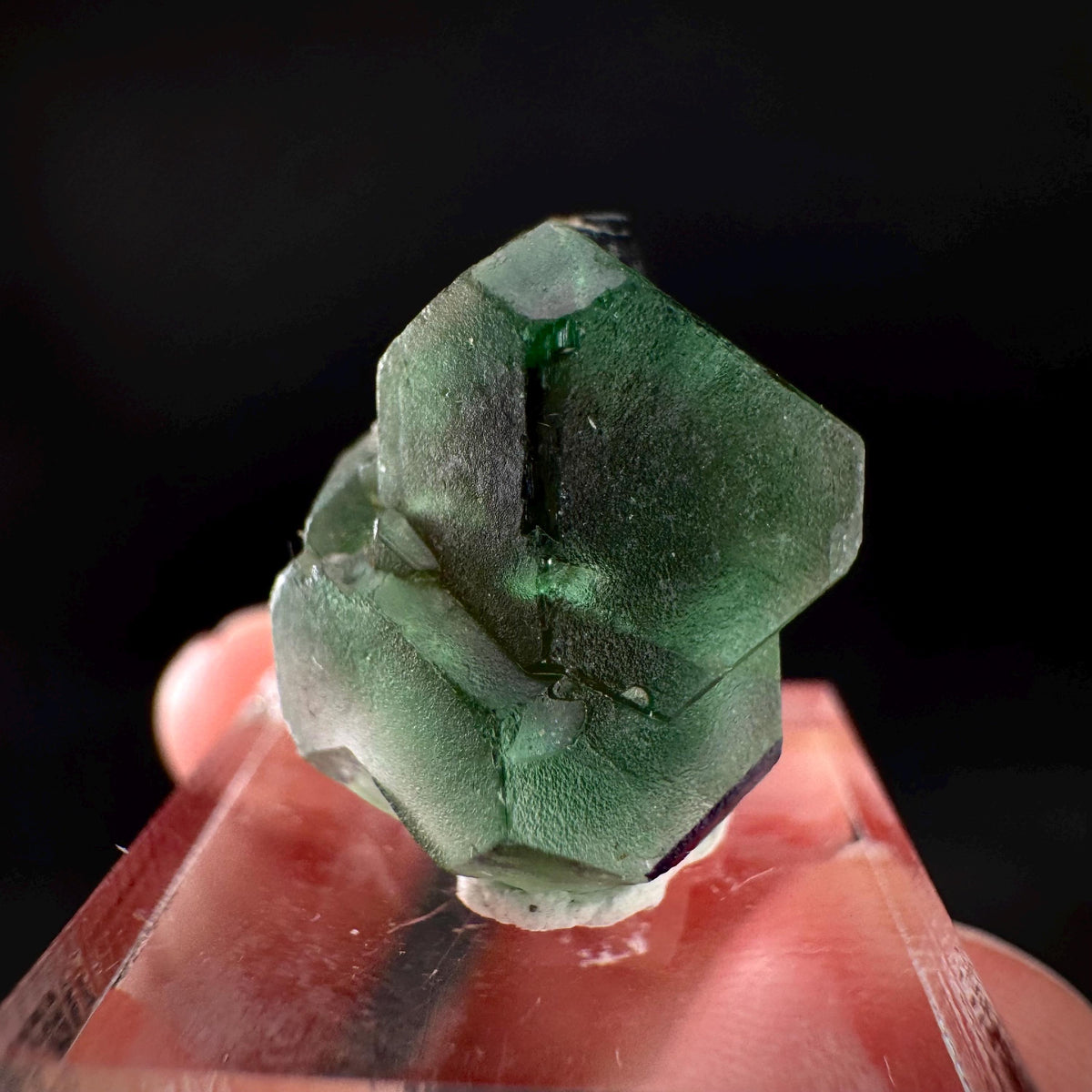 Fluorite w/ Black Tourmaline | Lollipop Pocket, green crystal, mineral specimen from Namibia
