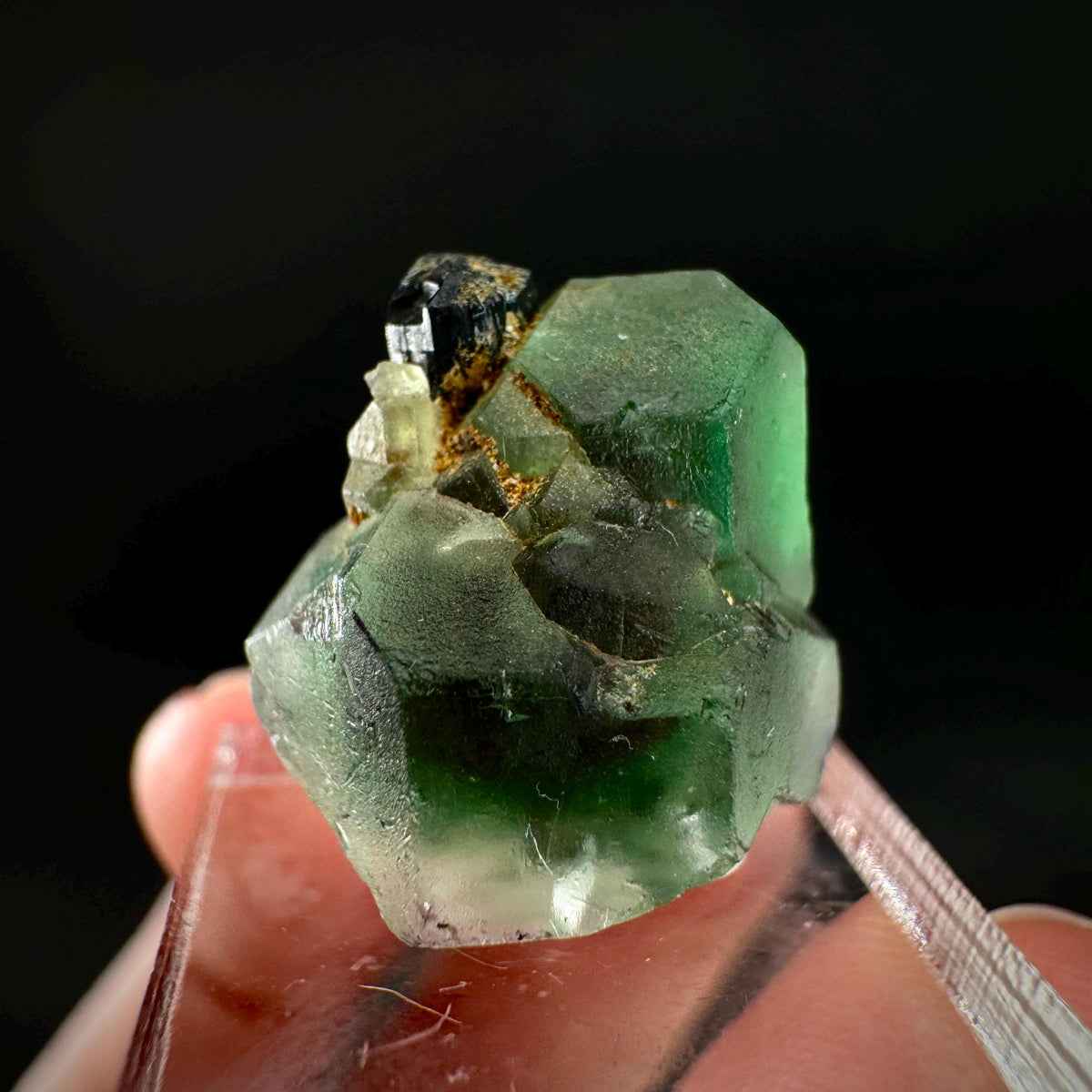 Fluorite w/ Black Tourmaline | Lollipop Pocket, green crystal, mineral specimen from Namibia