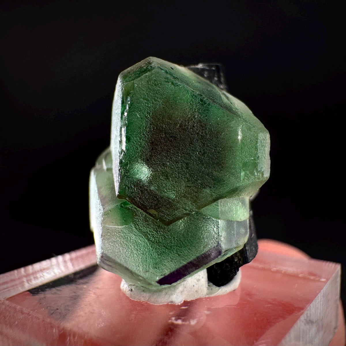 Fluorite w/ Black Tourmaline | Lollipop Pocket, green crystal, mineral specimen from Namibia