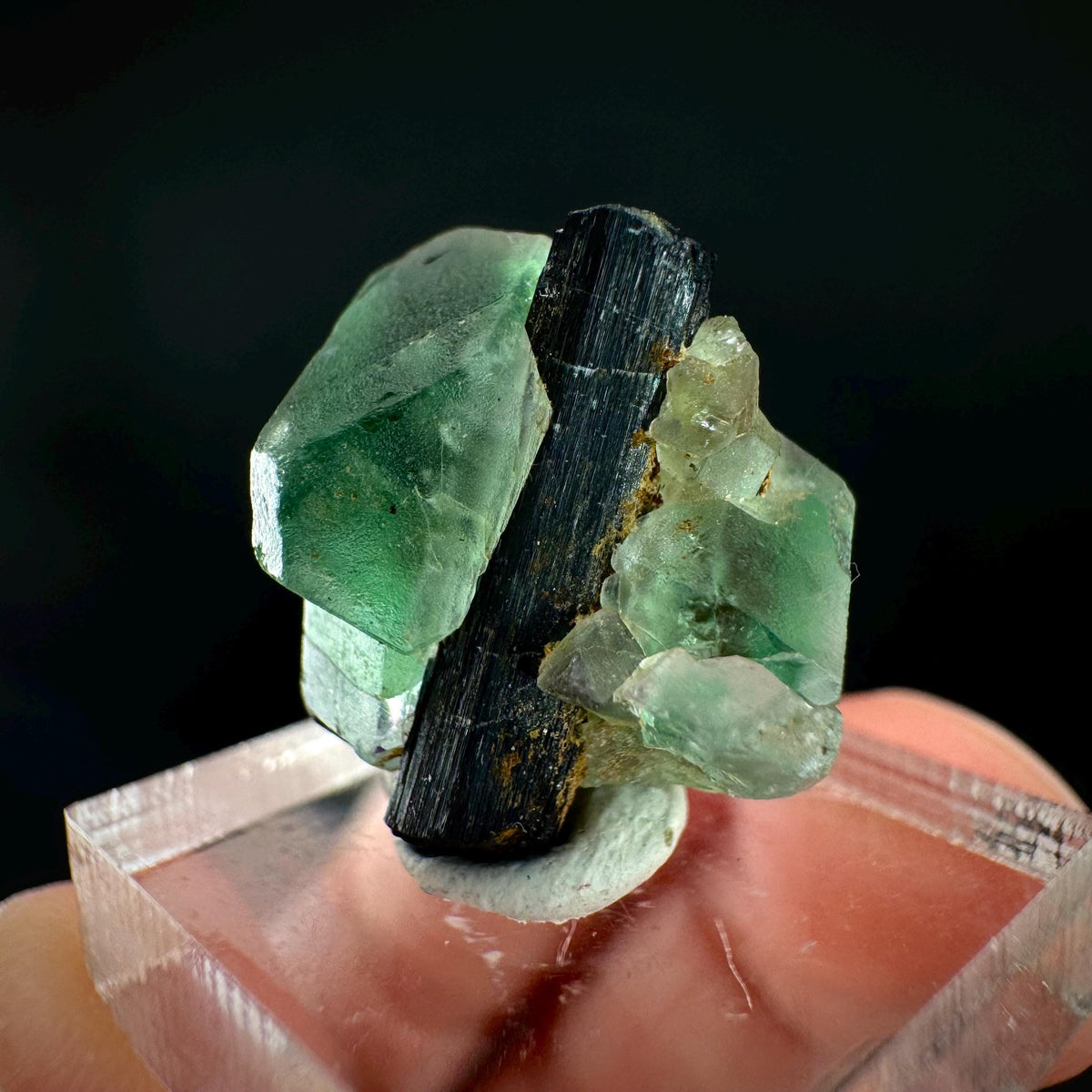 Fluorite w/ Black Tourmaline | Lollipop Pocket, green crystal, mineral specimen from Namibia