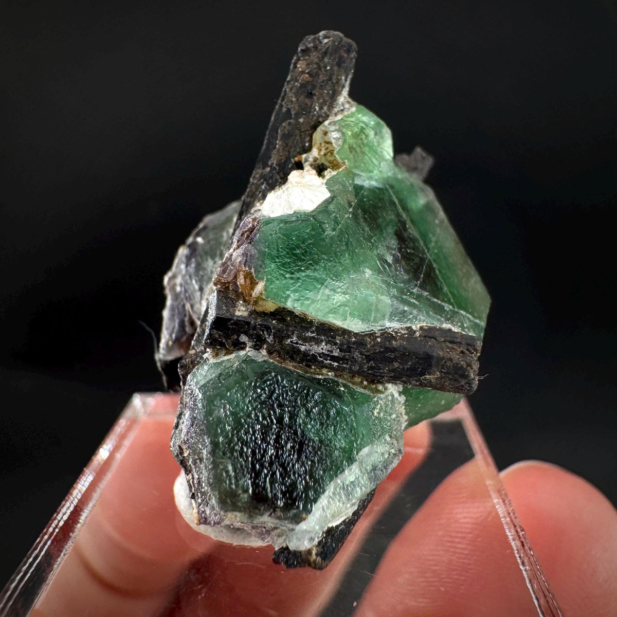 Fluorite w/ Black Tourmaline | Lollipop Pocket, green crystal, mineral specimen from Namibia