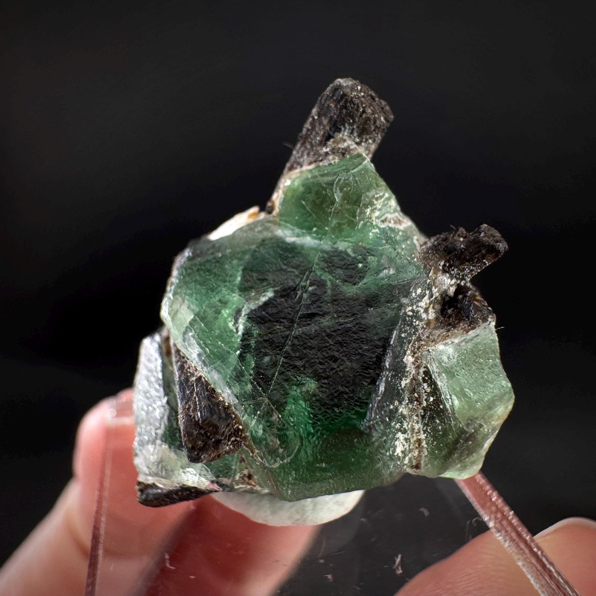 Fluorite w/ Black Tourmaline | Lollipop Pocket, green crystal, mineral specimen from Namibia