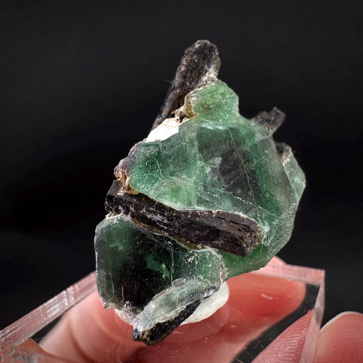 Fluorite w/ Black Tourmaline | Lollipop Pocket, green crystal, mineral specimen from Namibia
