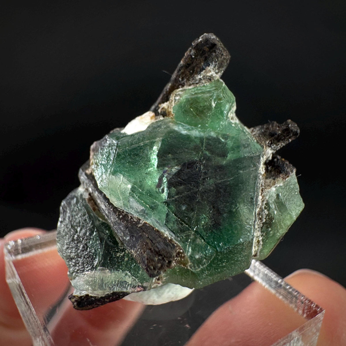 Fluorite w/ Black Tourmaline | Lollipop Pocket, green crystal, mineral specimen from Namibia