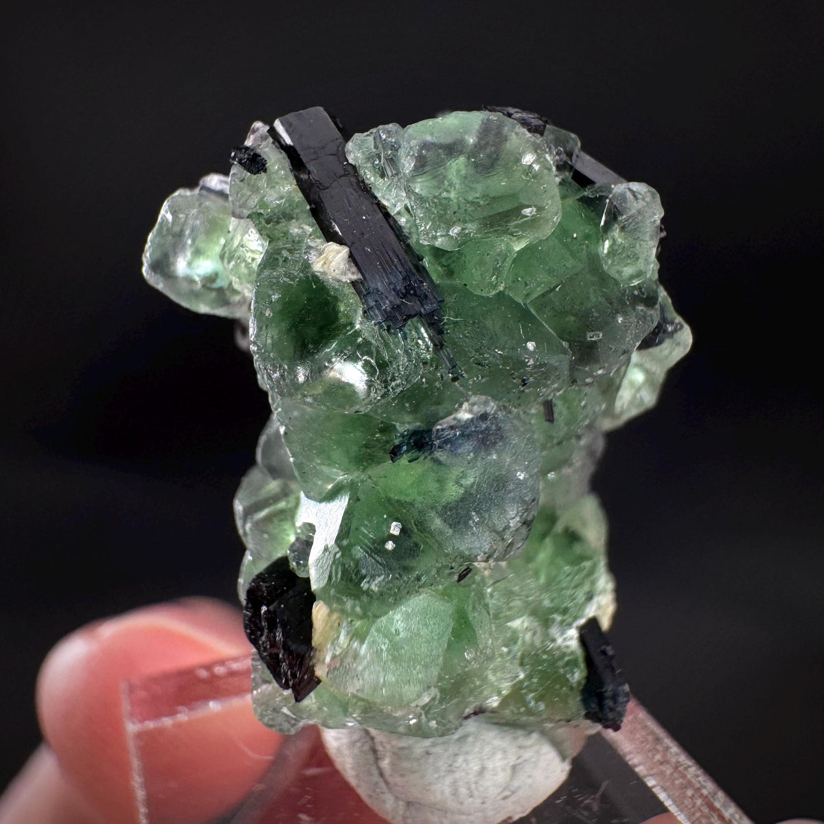 Fluorite w/ Schorl, & Muscovite | Lollipop Pocket, green crystal, mineral specimen from Namibia