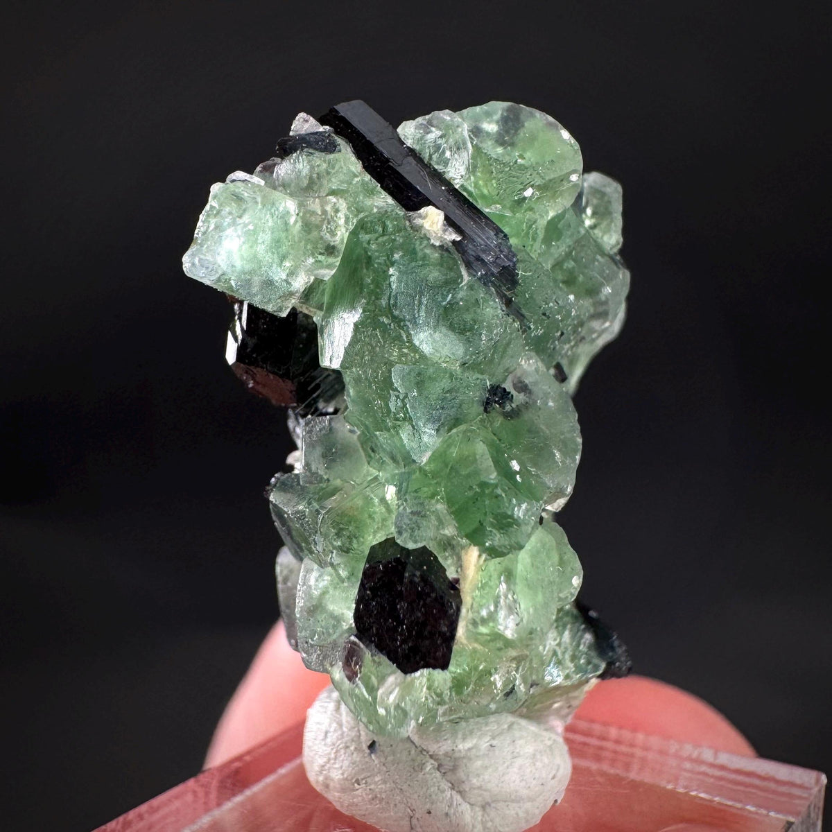 Fluorite w/ Schorl, & Muscovite | Lollipop Pocket, green crystal, mineral specimen from Namibia