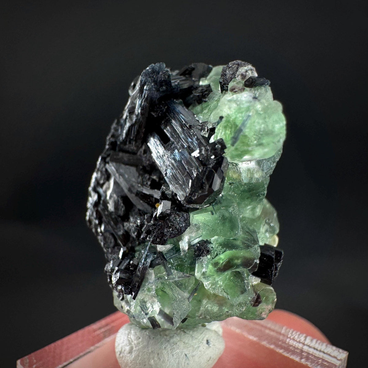 Fluorite w/ Schorl, & Muscovite | Lollipop Pocket, green crystal, mineral specimen from Namibia