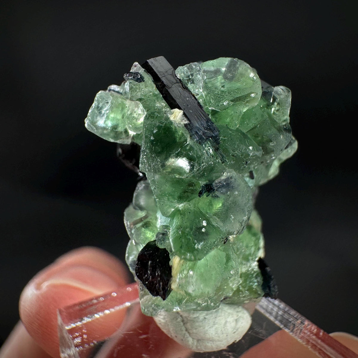 Fluorite w/ Schorl, & Muscovite | Lollipop Pocket, green crystal, mineral specimen from Namibia