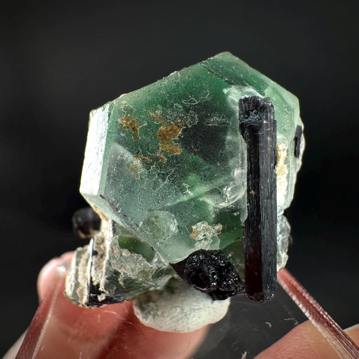 Fluorite w/ Schorl, & Muscovite | Lollipop Pocket, green crystal, mineral specimen from Namibia