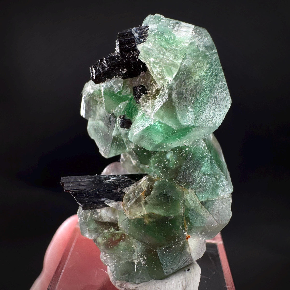 Fluorite w/ Schorl, & Muscovite | Lollipop Pocket, green crystal, mineral specimen from Namibia