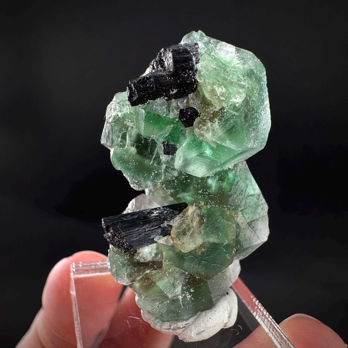Fluorite w/ Schorl, & Muscovite | Lollipop Pocket, green crystal, mineral specimen from Namibia