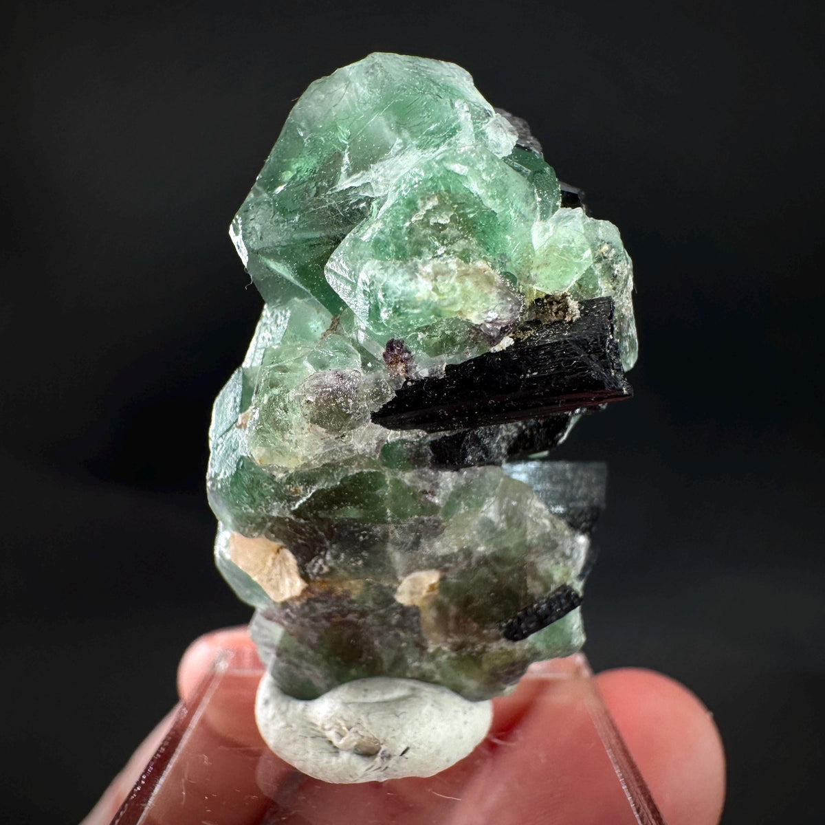 Fluorite w/ Schorl, & Muscovite | Lollipop Pocket, green crystal, mineral specimen from Namibia