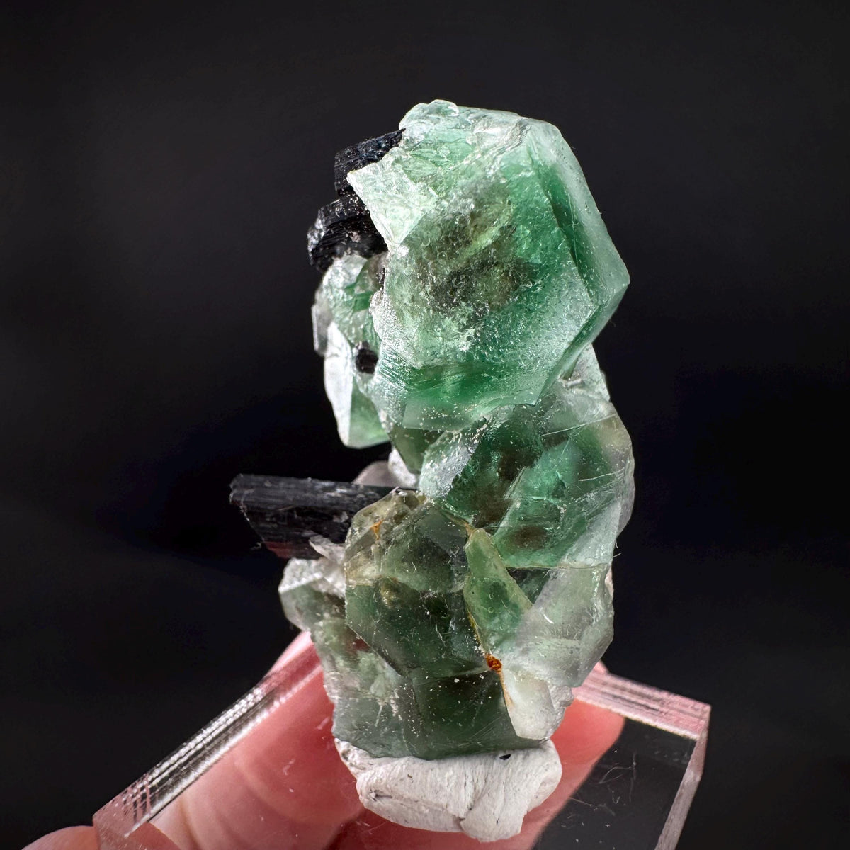 Fluorite w/ Schorl, & Muscovite | Lollipop Pocket, green crystal, mineral specimen from Namibia
