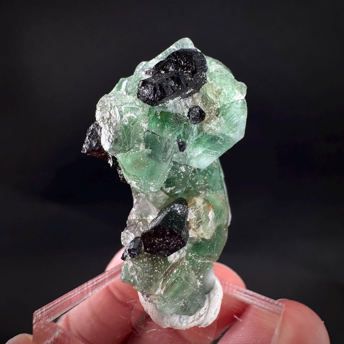 Fluorite w/ Schorl, & Muscovite | Lollipop Pocket, green crystal, mineral specimen from Namibia