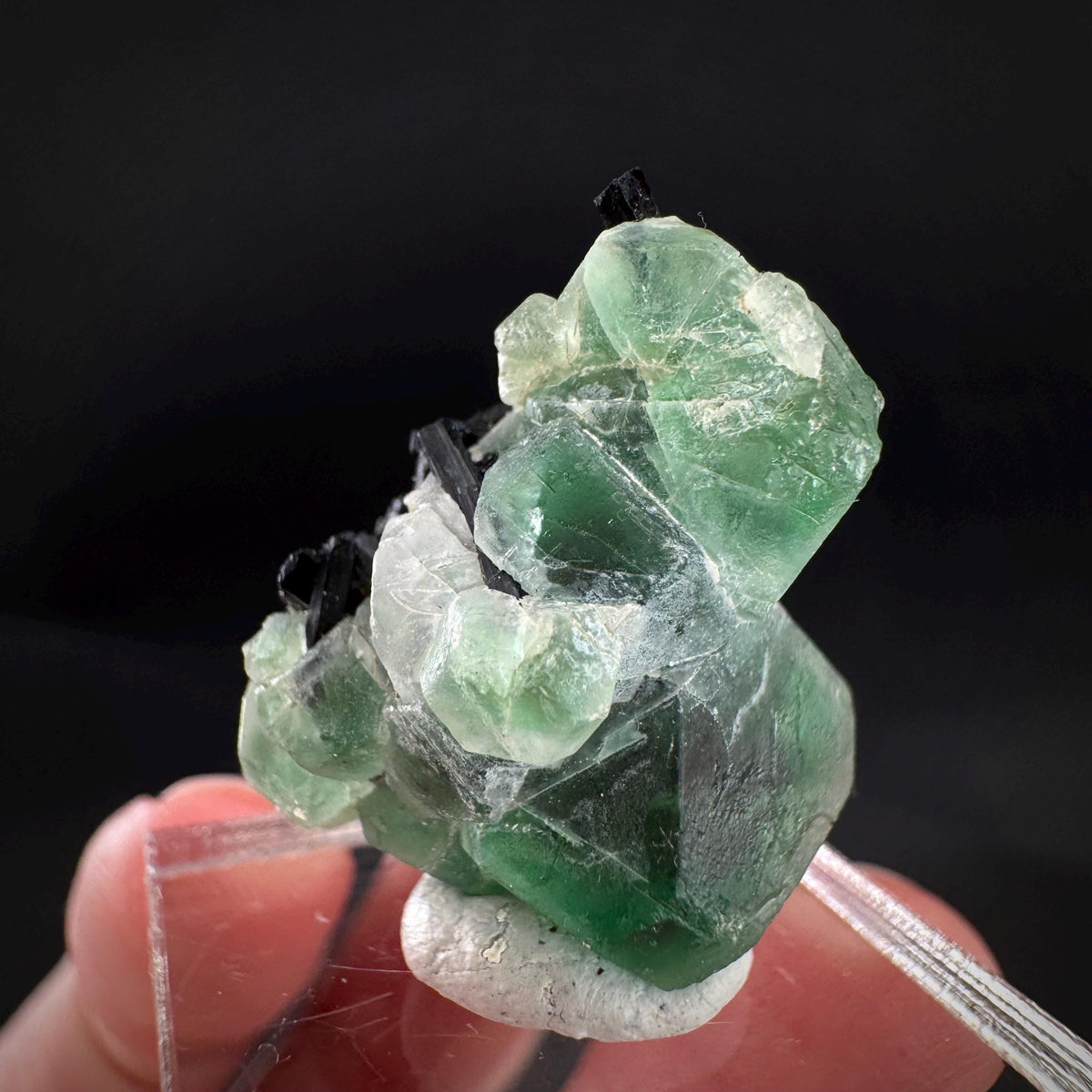 Fluorite w/ Black Tourmaline | Lollipop Pocket, green crystal, mineral specimen from Namibia