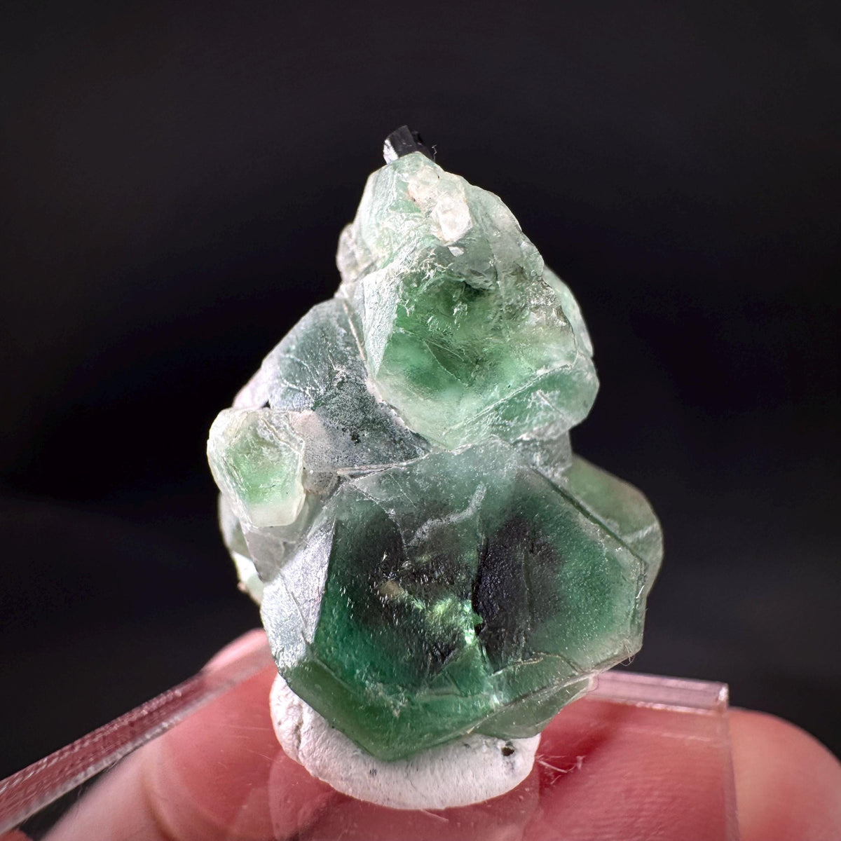 Fluorite w/ Black Tourmaline | Lollipop Pocket, green crystal, mineral specimen from Namibia