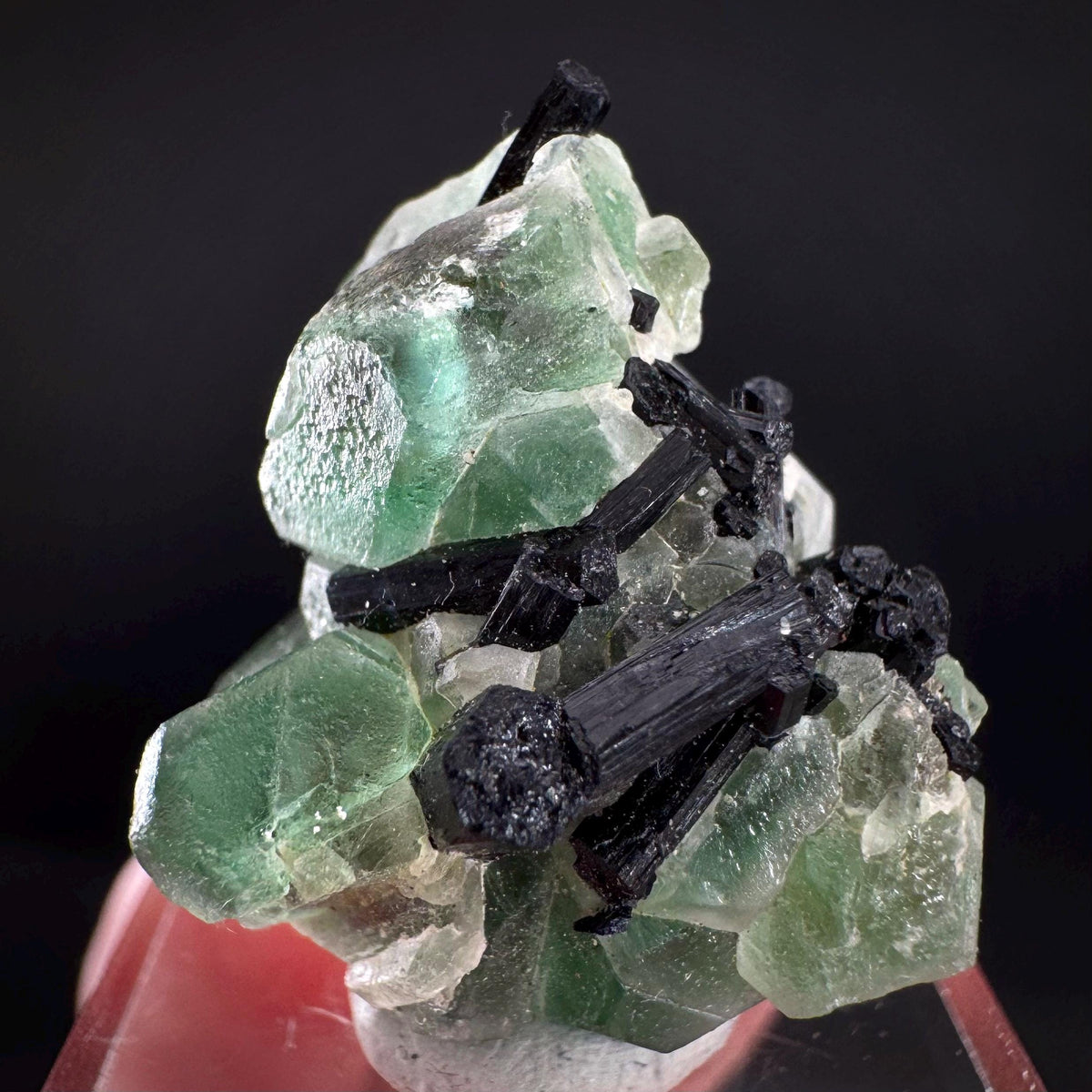 Fluorite w/ Black Tourmaline | Lollipop Pocket, green crystal, mineral specimen from Namibia