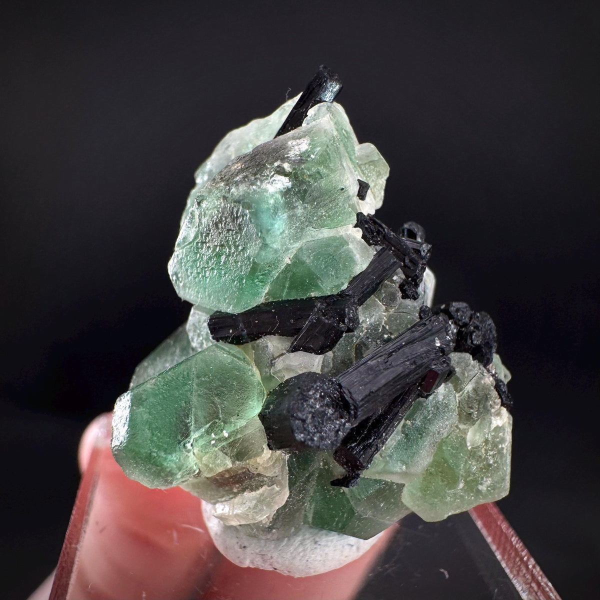 Fluorite w/ Black Tourmaline | Lollipop Pocket, green crystal, mineral specimen from Namibia