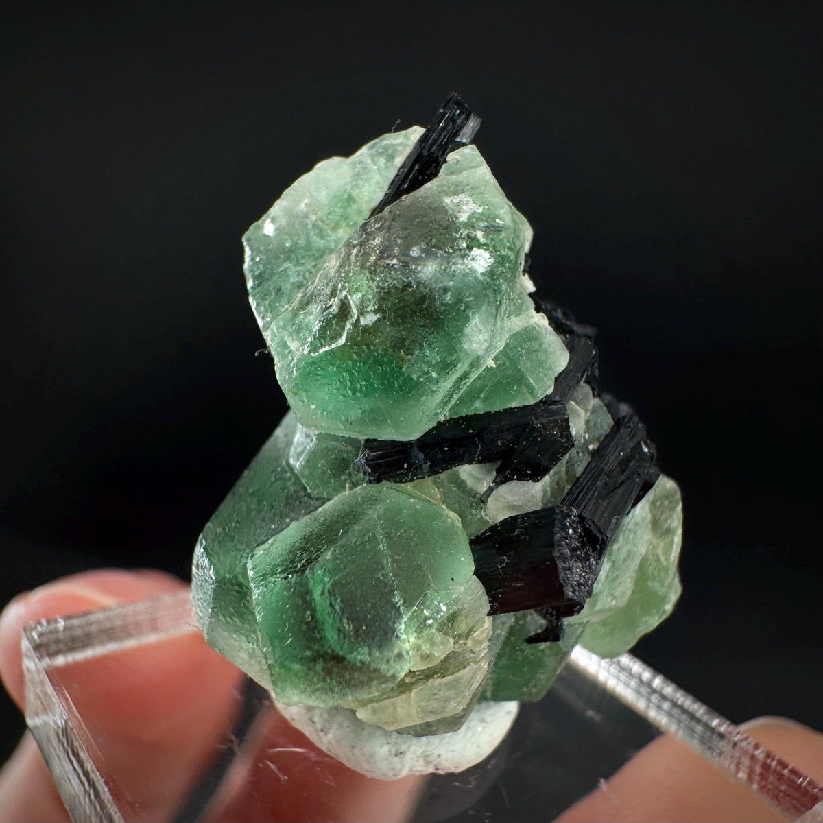 Fluorite w/ Black Tourmaline | Lollipop Pocket, green crystal, mineral specimen from Namibia