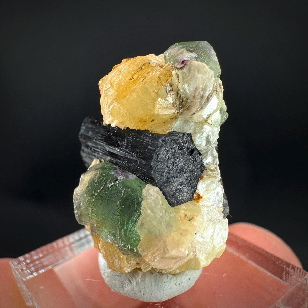 Fluorite w/ Schorl, & Muscovite | Lollipop Pocket, green crystal, mineral specimen from Namibia