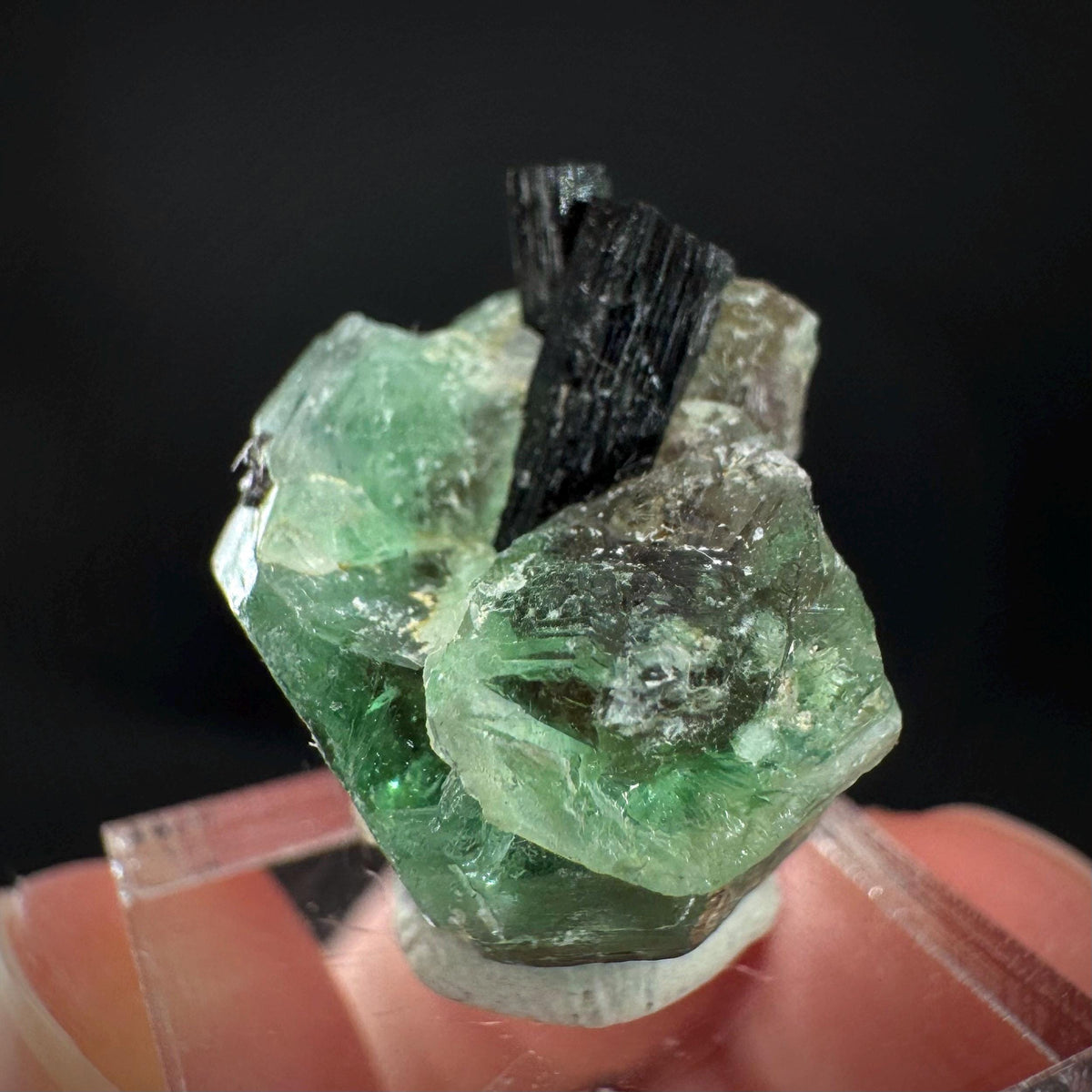 Fluorite w/ Black Tourmaline | Lollipop Pocket, green crystal, mineral specimen from Namibia