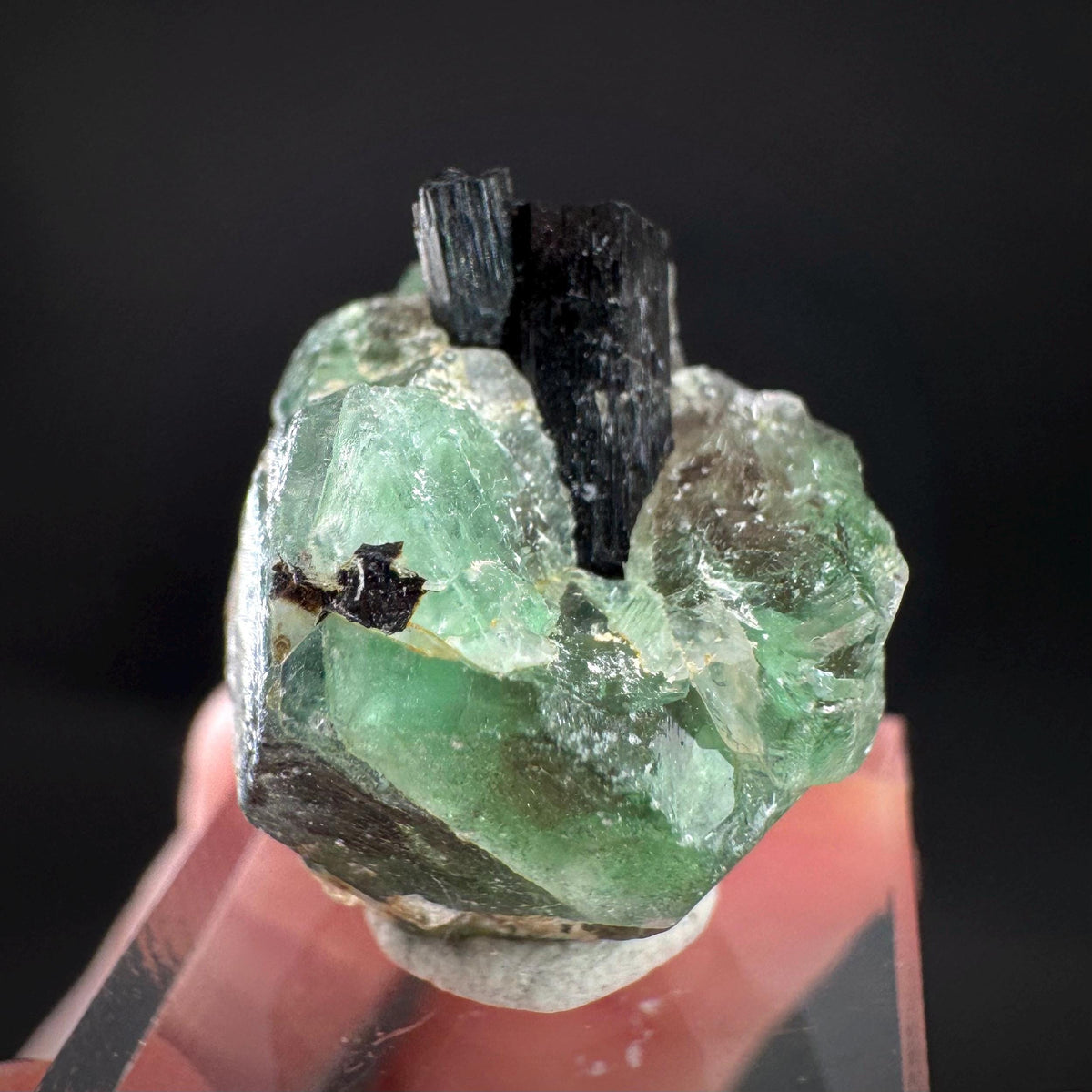 Fluorite w/ Black Tourmaline | Lollipop Pocket, green crystal, mineral specimen from Namibia