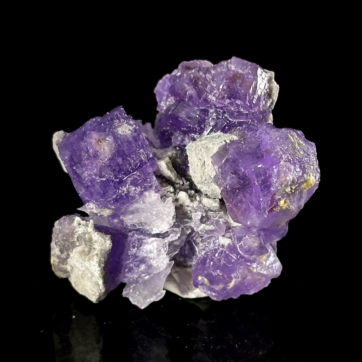 Coquimbite | purple crystal, rare mineral specimen from Italy