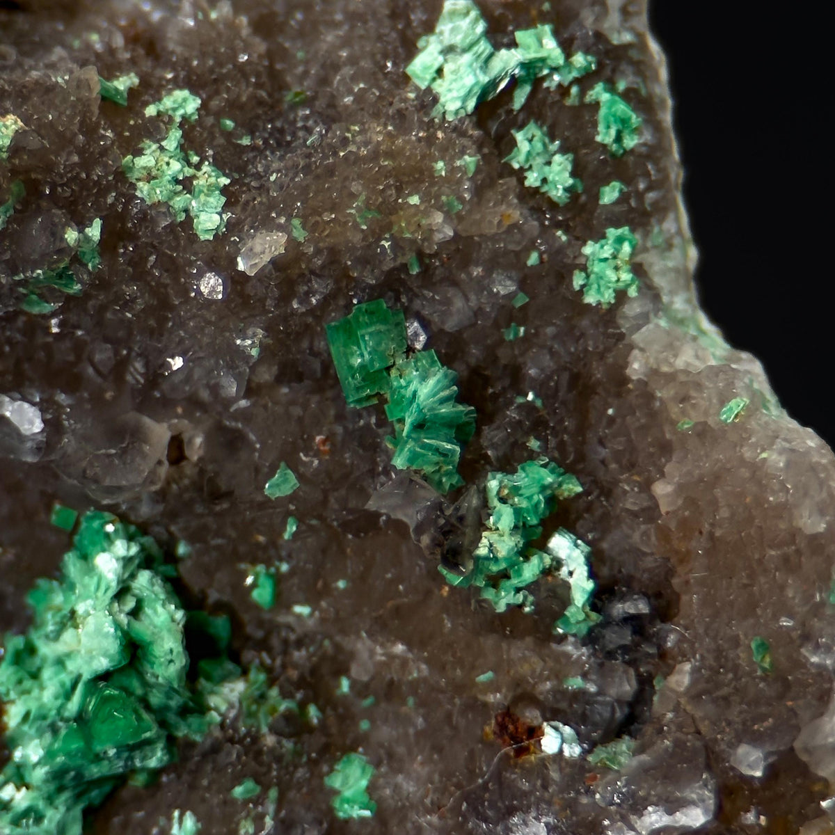 Torbernite | green crystals on matrix, rare mineral specimen from France
