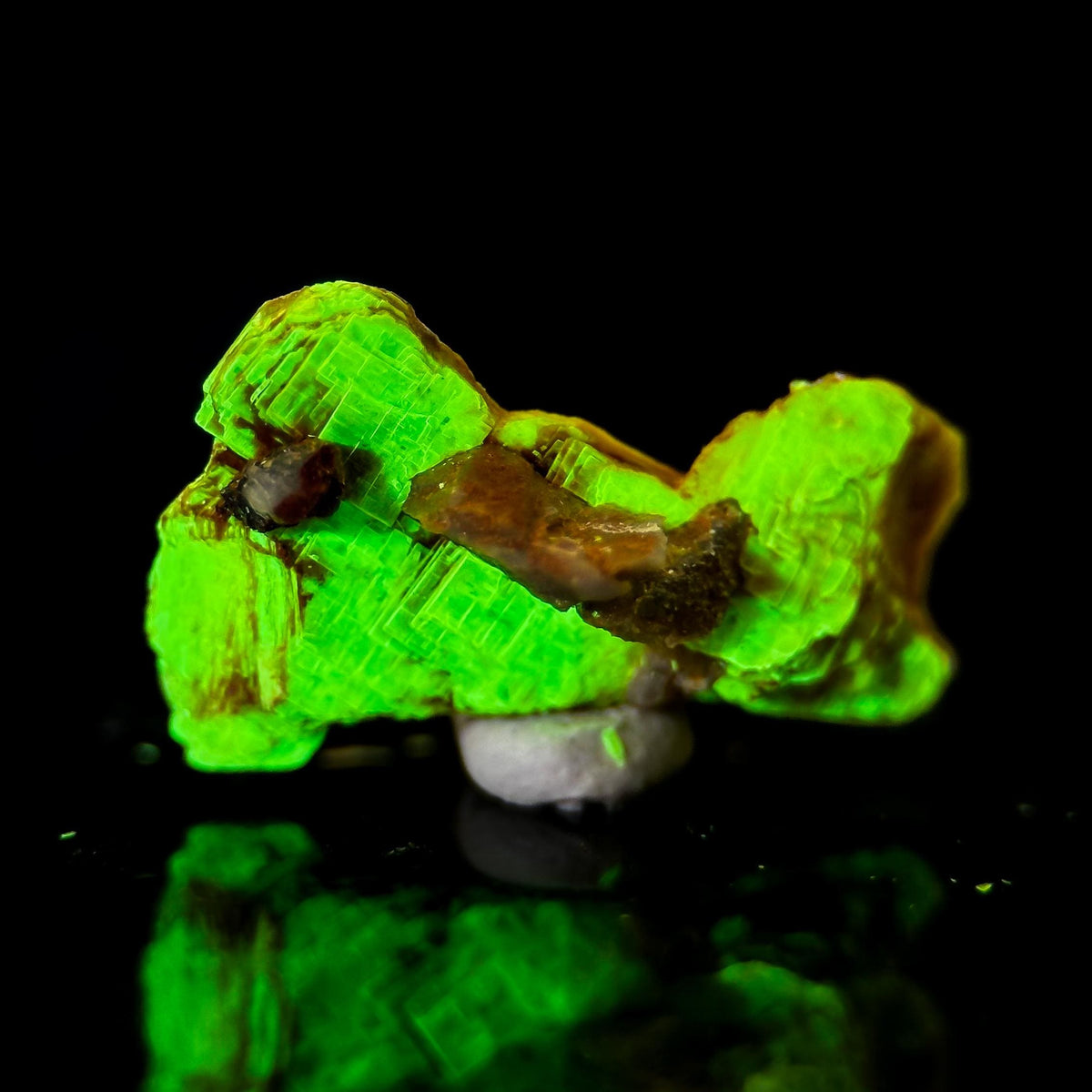Uranocircite | fluorescent UV reactive crystal, rare mineral specimen from Germany