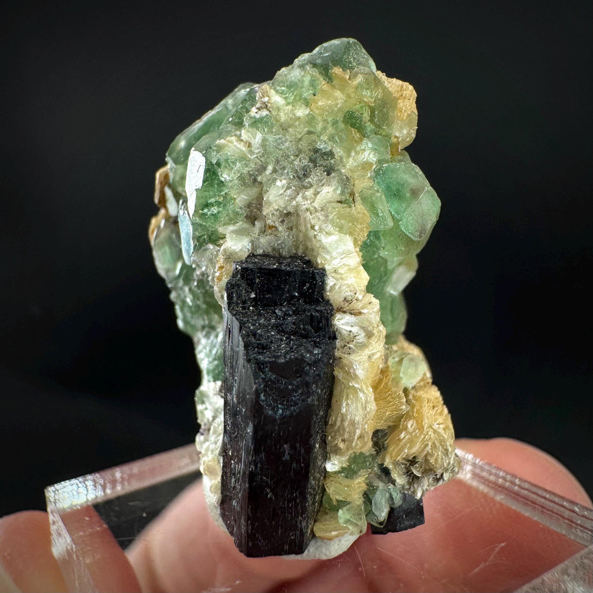 Fluorite w/ Schorl, & Muscovite | Lollipop Pocket, green crystal, mineral specimen from Namibia