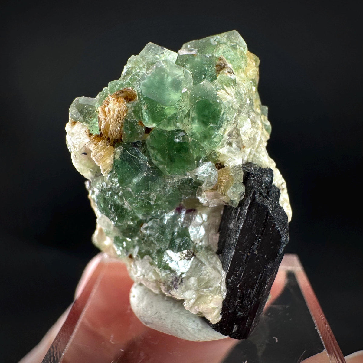 Fluorite w/ Schorl, & Muscovite | Lollipop Pocket, green crystal, mineral specimen from Namibia
