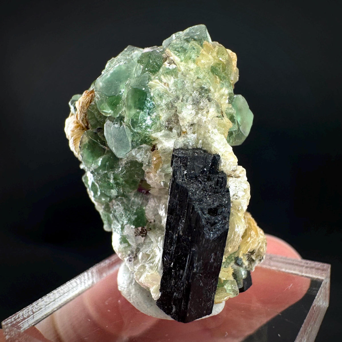 Fluorite w/ Schorl, & Muscovite | Lollipop Pocket, green crystal, mineral specimen from Namibia