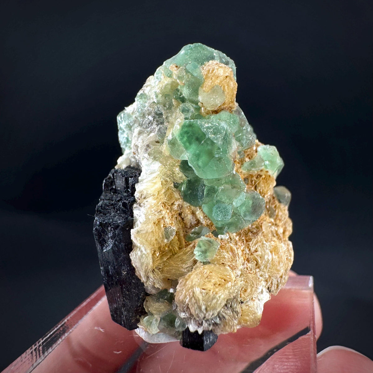 Fluorite w/ Schorl, & Muscovite | Lollipop Pocket, green crystal, mineral specimen from Namibia