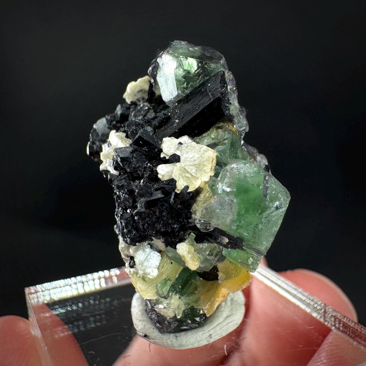 Fluorite w/ Schorl, & Muscovite | Lollipop Pocket, green crystal, mineral specimen from Namibia