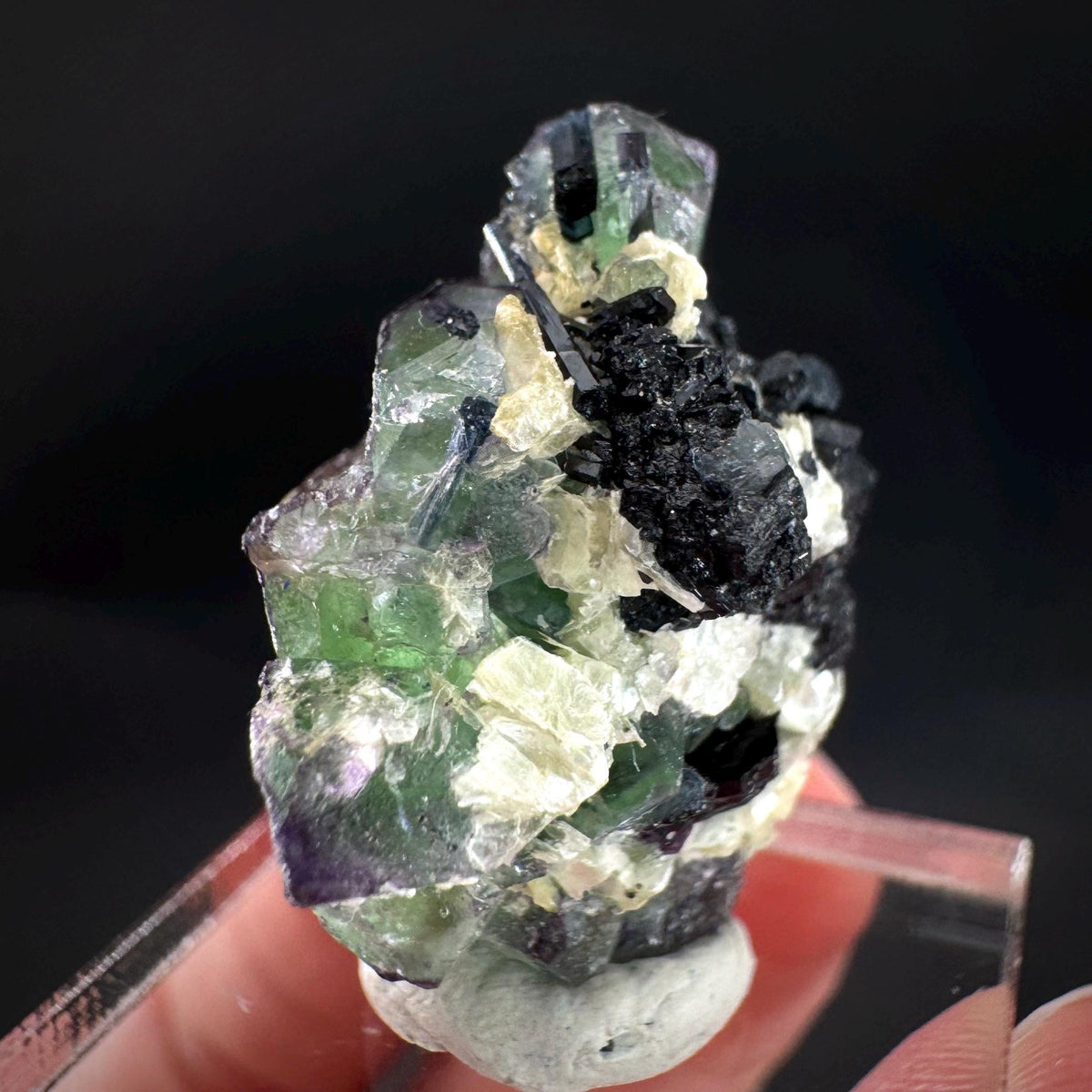 Fluorite w/ Schorl, & Muscovite | Lollipop Pocket, green crystal, mineral specimen from Namibia