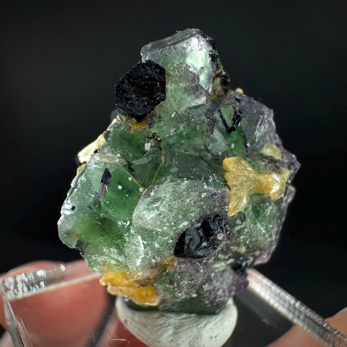Fluorite w/ Schorl, & Muscovite | Lollipop Pocket, green crystal, mineral specimen from Namibia