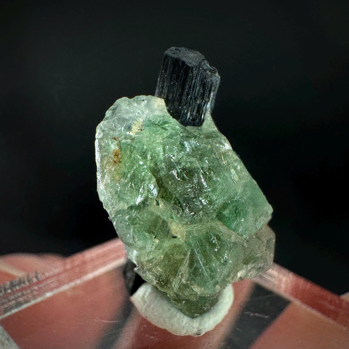 Fluorite w/ Black Tourmaline | Lollipop Pocket, green crystal, mineral specimen from Namibia