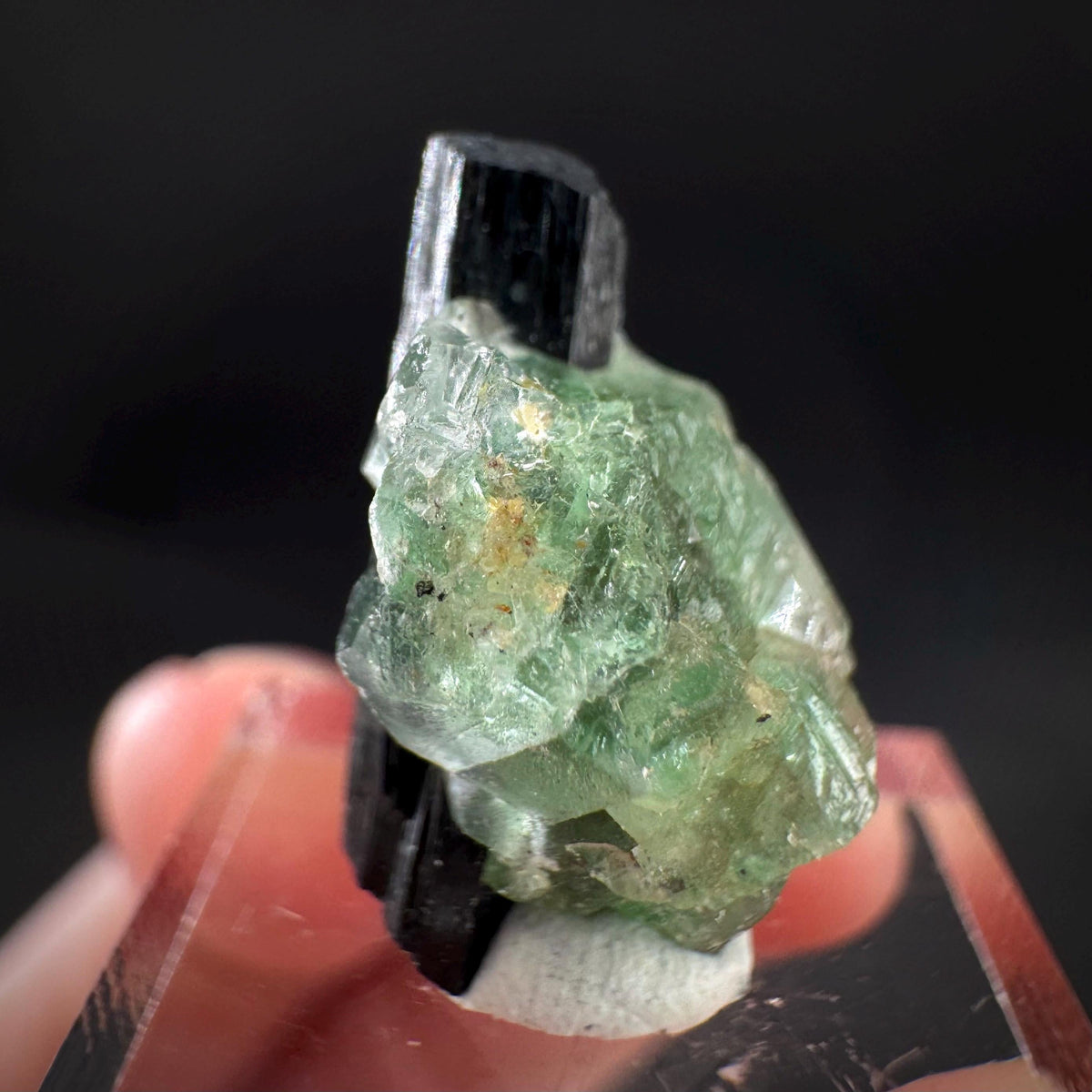 Fluorite w/ Black Tourmaline | Lollipop Pocket, green crystal, mineral specimen from Namibia
