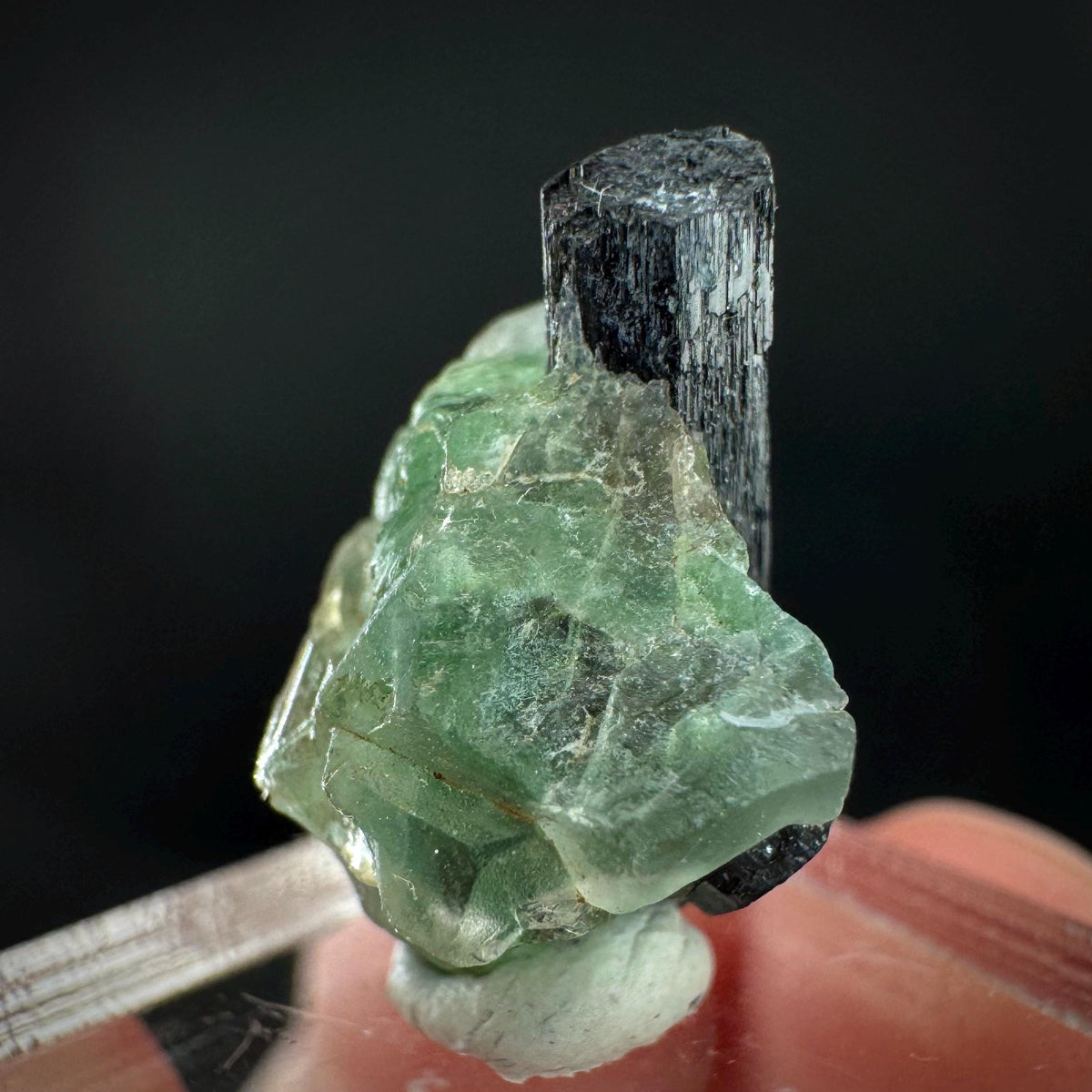 Fluorite w/ Black Tourmaline | Lollipop Pocket, green crystal, mineral specimen from Namibia