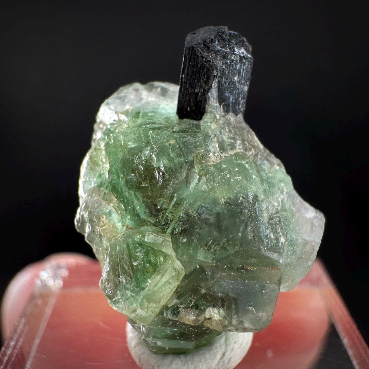 Fluorite w/ Black Tourmaline | Lollipop Pocket, green crystal, mineral specimen from Namibia