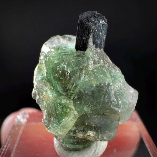 Fluorite w/ Black Tourmaline | Lollipop Pocket, green crystal, mineral specimen from Namibia