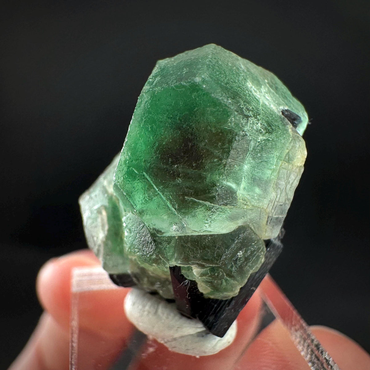 Fluorite w/ Black Tourmaline | Lollipop Pocket, green crystal, mineral specimen from Namibia