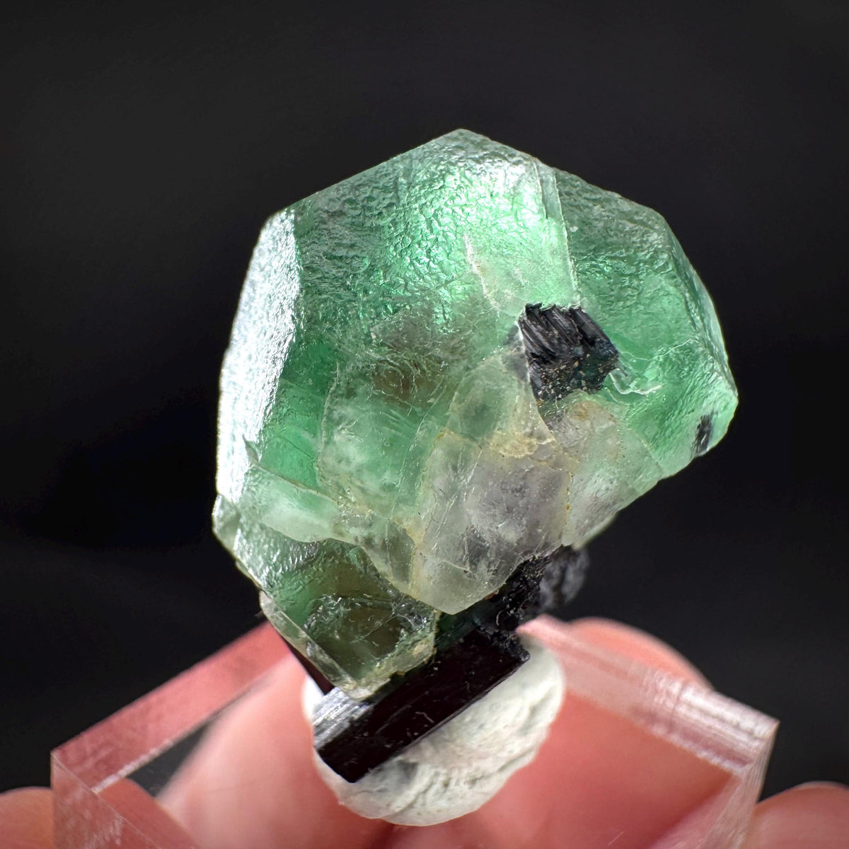 Fluorite w/ Black Tourmaline | Lollipop Pocket, green crystal, mineral specimen from Namibia