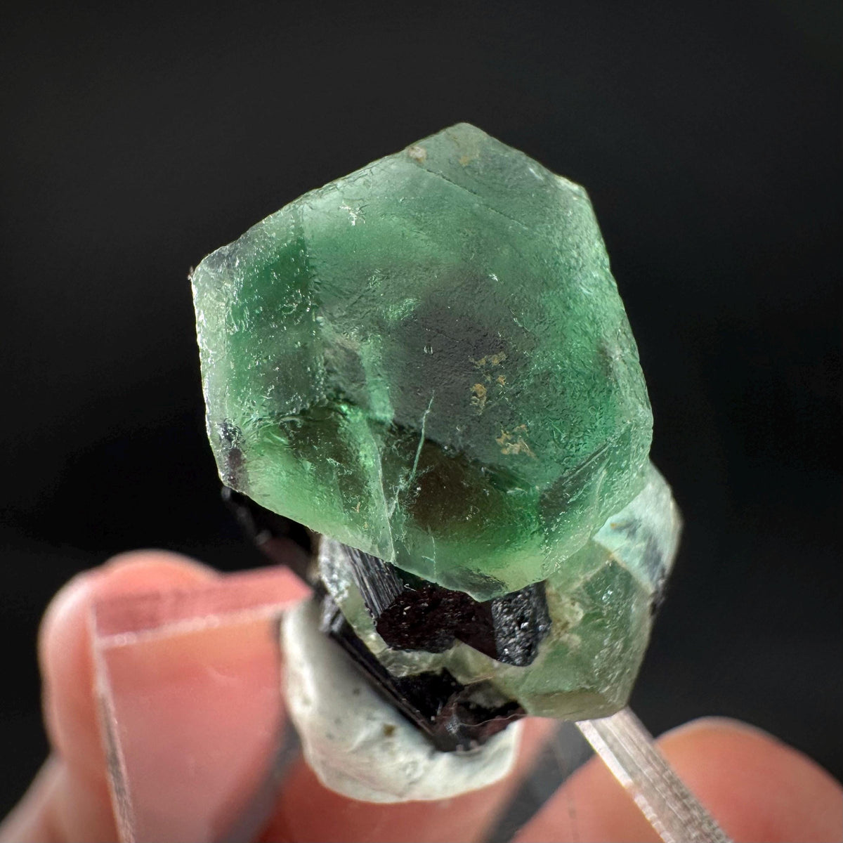 Fluorite w/ Black Tourmaline | Lollipop Pocket, green crystal, mineral specimen from Namibia