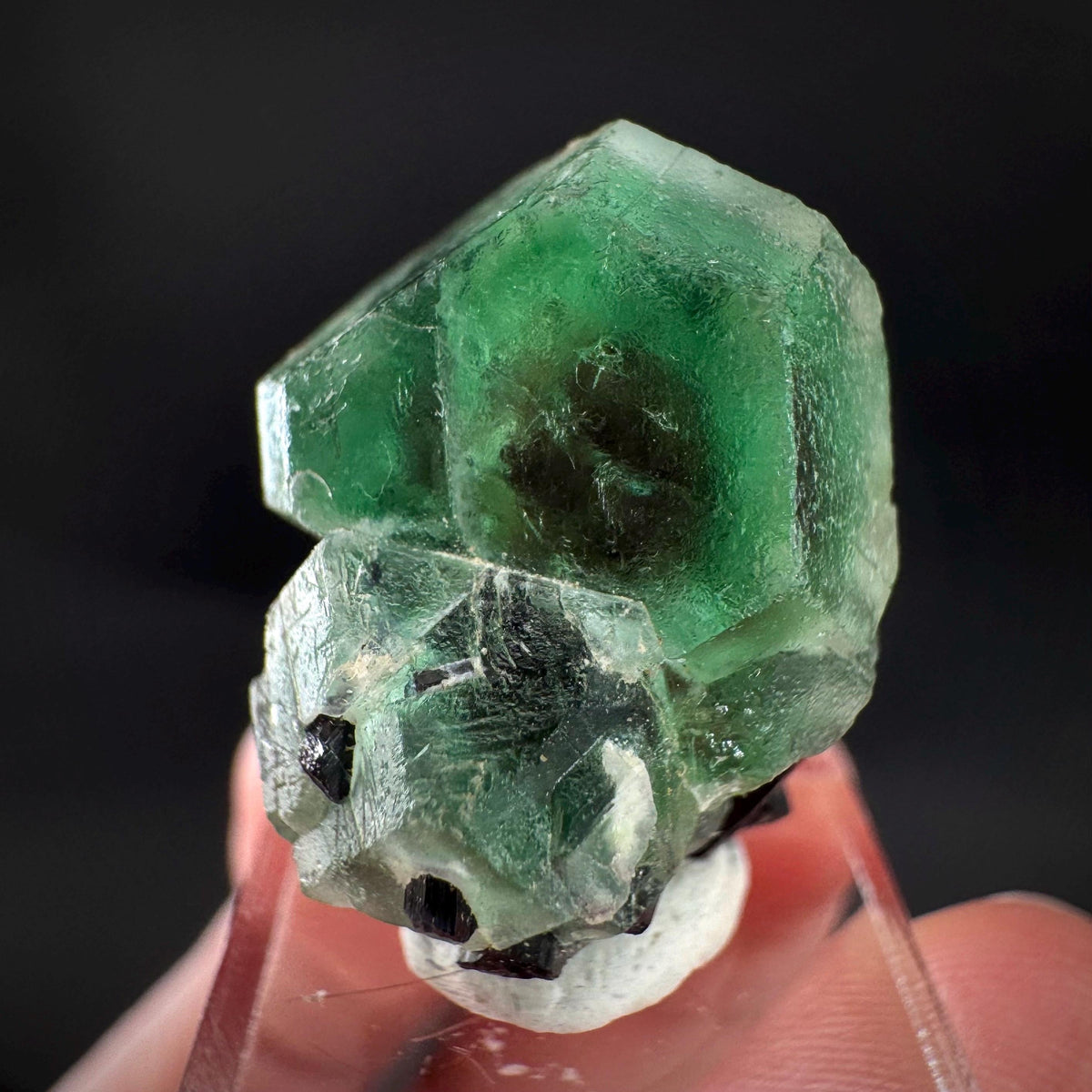 Fluorite w/ Black Tourmaline | Lollipop Pocket, green crystal, mineral specimen from Namibia
