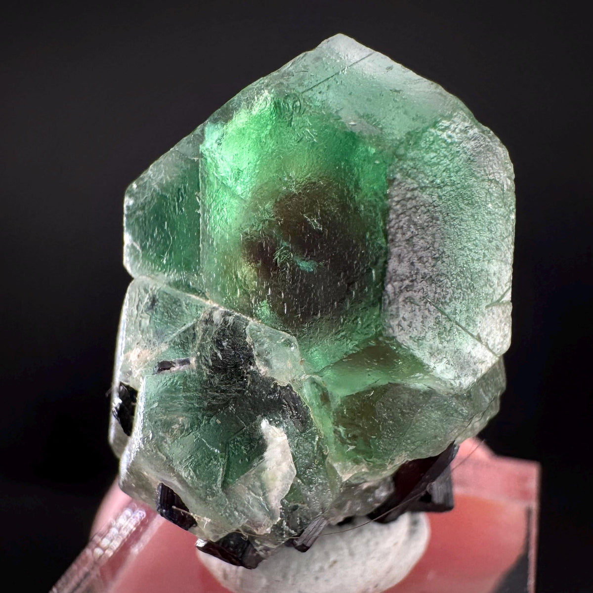 Fluorite w/ Black Tourmaline | Lollipop Pocket, green crystal, mineral specimen from Namibia