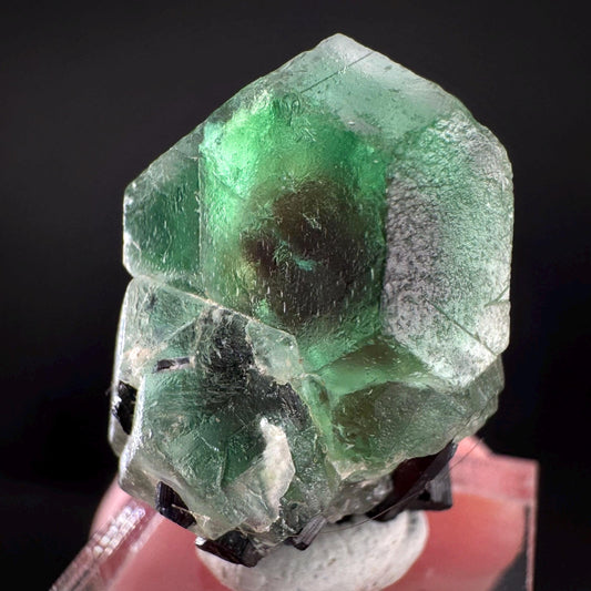Fluorite w/ Black Tourmaline | Lollipop Pocket, green crystal, mineral specimen from Namibia