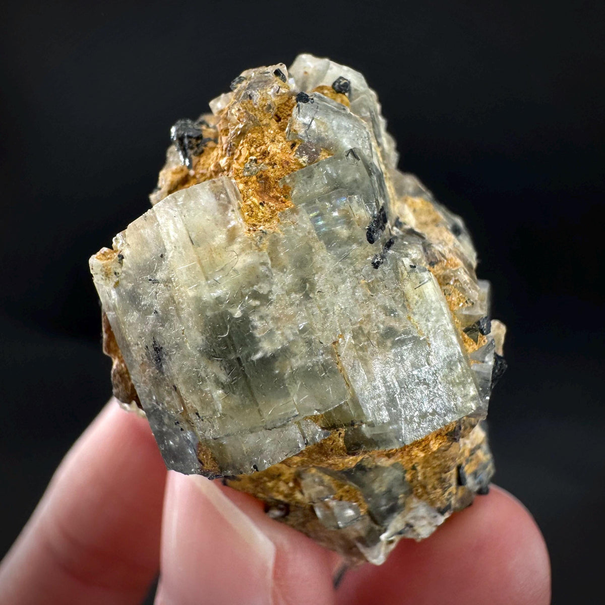 Beryl var. Goshenite with Black Tourmaline | natural crystal cluster, mineral specimen from Namibia