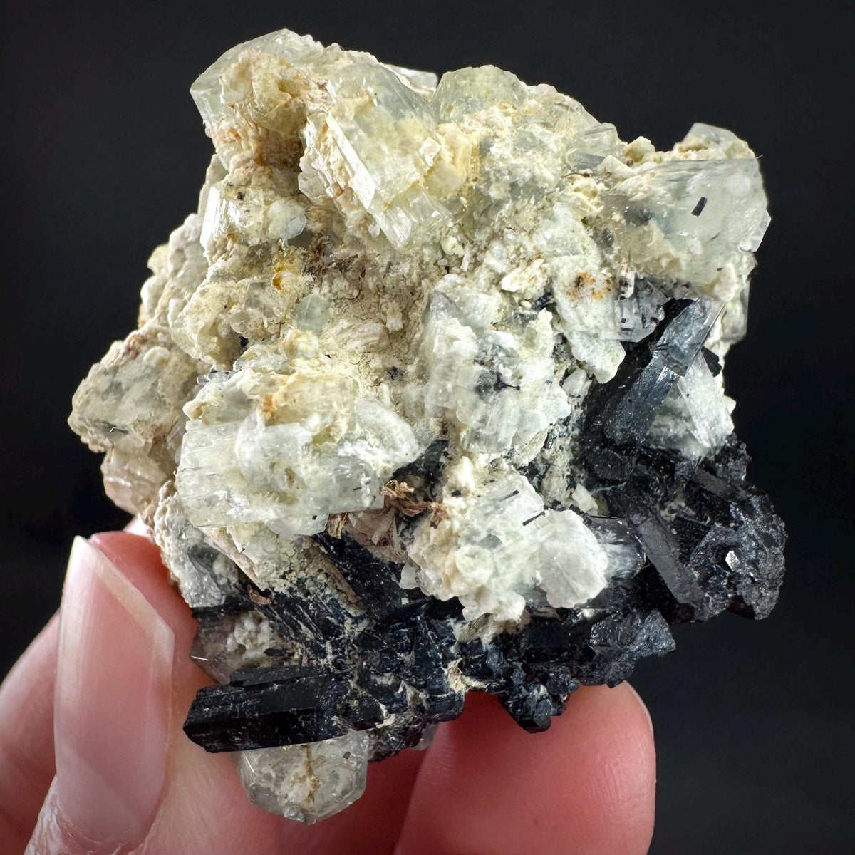 Beryl var. Goshenite with Black Tourmaline | natural crystal cluster, mineral specimen from Namibia